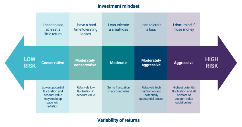 Risk tolerance infographic.